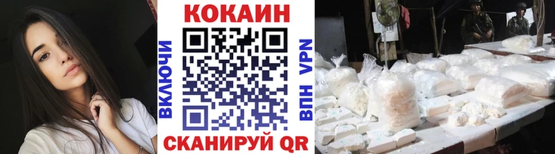 где купить наркоту  Олонец  COCAIN FishScale 