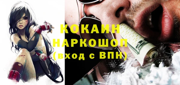 бошки Алексин