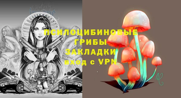 сатива Алексеевка