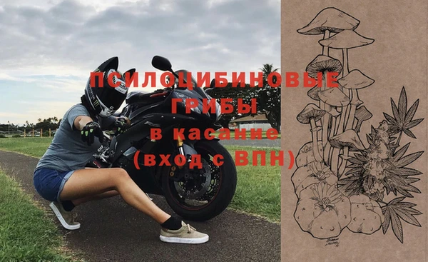 2c-b Алзамай